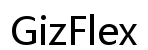 GizFlex